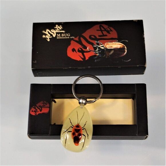 Bug Insect Keychain Nanning Millennium Arts M Real Bug See Through Key Ring - Picture 7 of 7